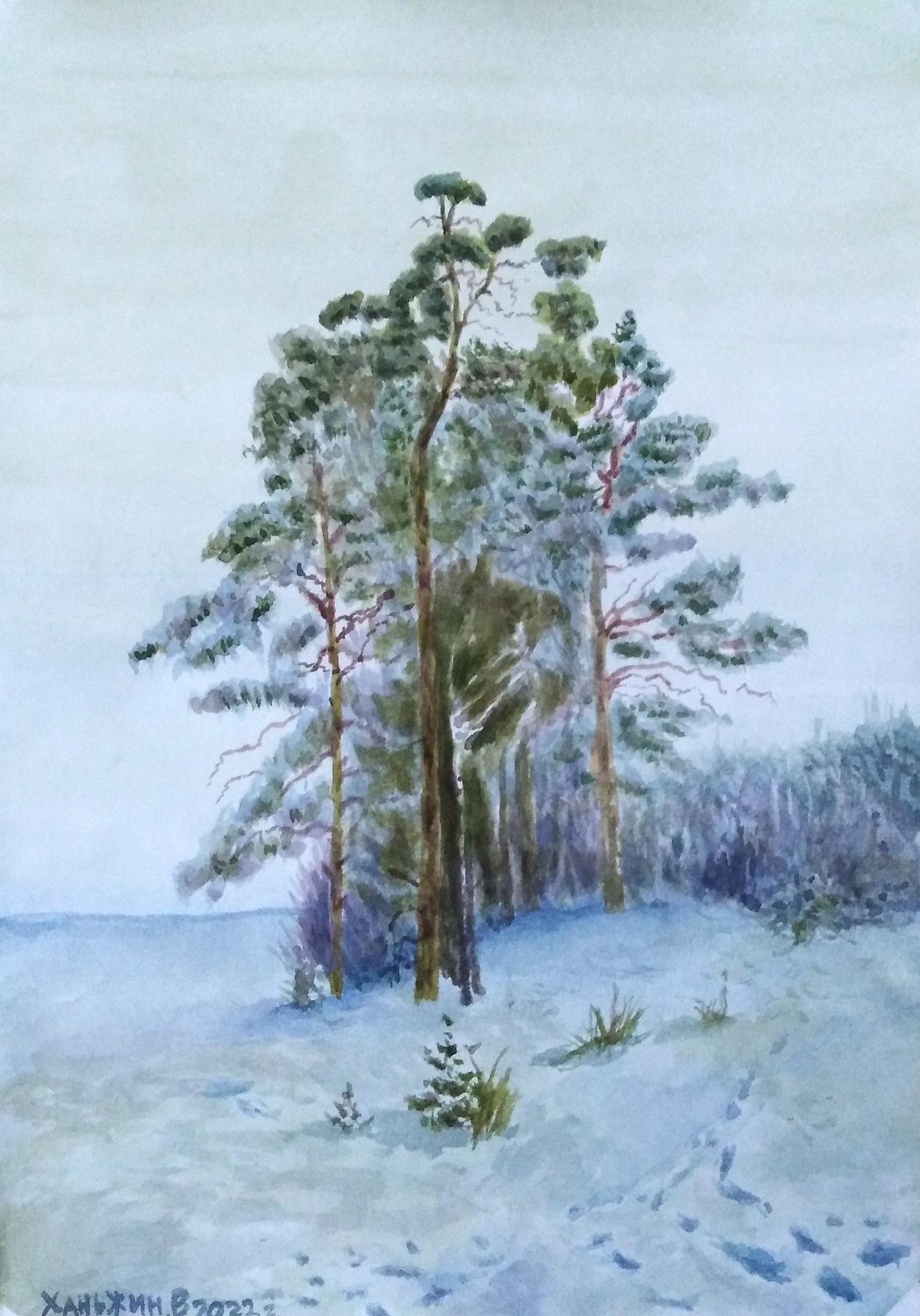 Сосны зимой картины