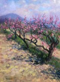 Цветущие персики - Аукцион на BeMyPaint