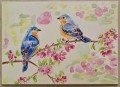Птички на ветке цветущего персика - Аукцион на BeMyPaint