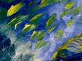 Танец ската в лунной воде - Аукцион на BeMyPaint