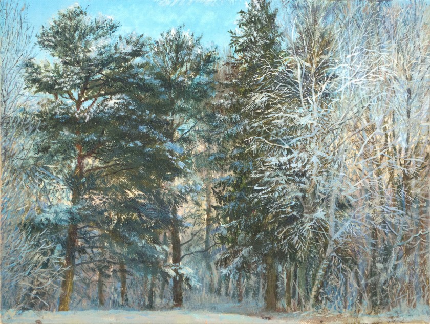 В январе - Аукцион на BeMyPaint