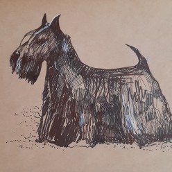 Шнапс Мария Браславская - Художники