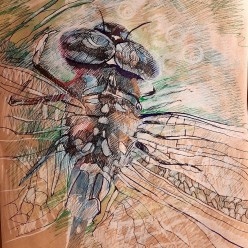 Стерео Стрекоза Мария Браславская - Художники