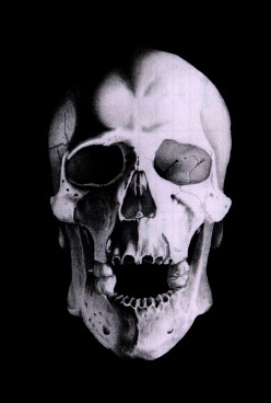 Черепушка 21.03.17 ред Андрей Михайловский - Художники