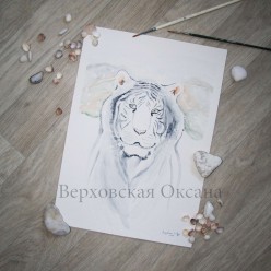 Бенгальский тигр ОксанаВерховская - Художники