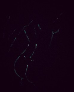 IMG_8293 ArtLoveLife - Художники