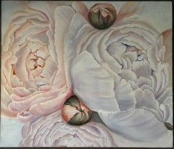 Пионы.  Холст (60х70). Масло. Елена Попова - Художники
