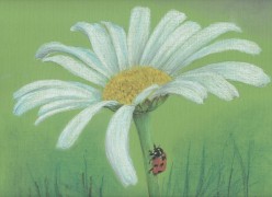 kjbVHhgqTCY Алия - Художники