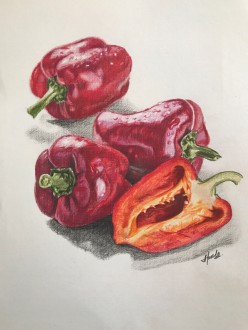 Перчики Ольга Артемова - Художники