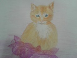 Рыжик. Карандаш Татьяна Козлова - Художники