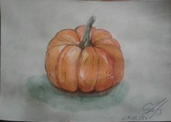 Тыква. Акварель Татьяна Козлова - Художники