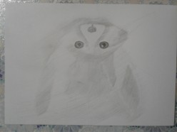 лиса. Карандаш Татьяна Козлова - Художники