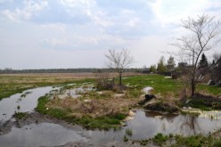 Дачи Аэлита Алтайская - Художники