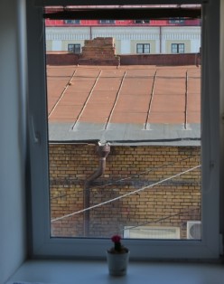 граффити 090 Аэлита Алтайская - Художники