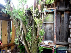 SToSLjvfBc8 Аэлита Алтайская - Художники