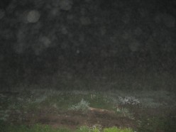 граффити 214 Аэлита Алтайская - Художники