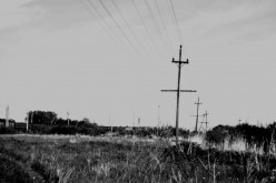 Сыропятка Аэлита Алтайская - Художники