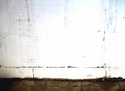 граффити 101 Аэлита Алтайская - Художники