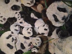 Panda RIYA - Художники