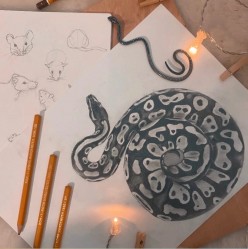 729C092F-F974-441A-A288-00C5CD9F89AE София Софьянова - Художники