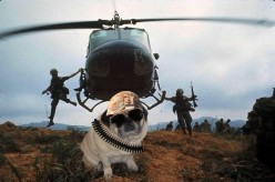 0421d8e2410bc062f8aabe49e4ac7581 Ляшечкин - Художники