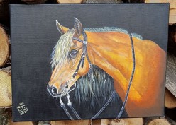 Холст 30×40см, акрил. "Конь" Картина доступна. Jelena Lebedeva-Dvorecka - Художники