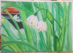 Подснежники А. Швейкина - Художники