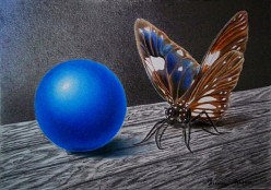 "БАБОЧКА" выполнена цветными карандашами Нина Валко - Художники