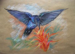 image Sima0275 - Художники