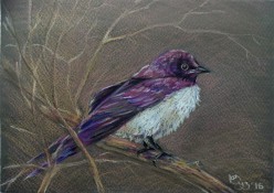 image Sima0275 - Художники