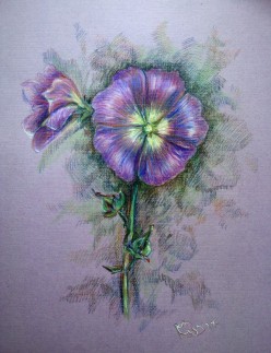 цветок Sima0275 - Художники