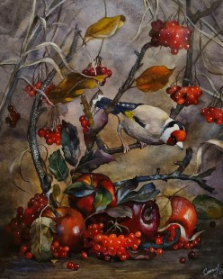 Щегол. акварель. Анастасия - Художники