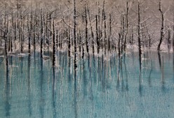 lake in winter 2 Ирина - Художники